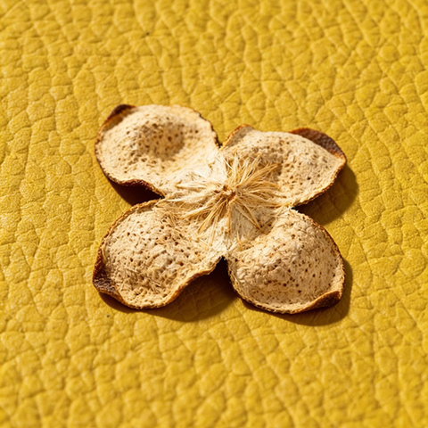 Dried Tangerine Peel Fiber Based